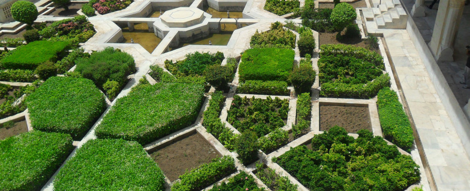 cultivated patio maze